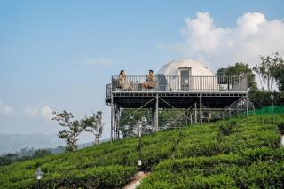 Willostays Luxury Glamping vagamon - 4