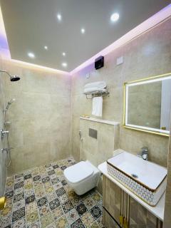 Executive 1BHK Studio near Expo Mart - 9