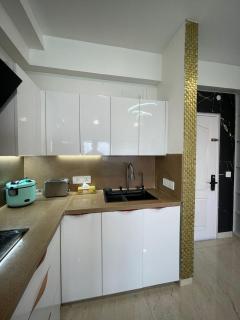 Executive 1BHK Studio near Expo Mart - 7