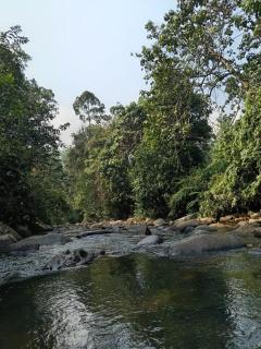 Down Fattna Eco Villa - 7
