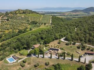 Apartment Poggio del Pero -3 by Interhome - 6
