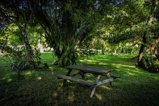 Tropical Garden Hideaway - Stonecutter - 9