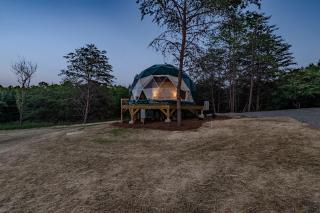 Pilot Mountain Glamping Resort - 4