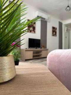 Maison SYD saint-Junien - 8