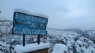 Apartamentos Rurales Jardines del Visir - Genalguacil - 8