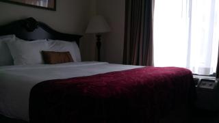 Wingate by Wyndham Atlanta Galleria/ Ballpark - Atlanta - 8