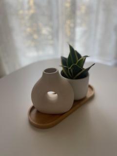 La casa di Paloma - 5
