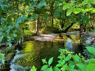 Pine River Dobrenica - 5