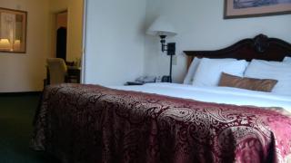 Wingate by Wyndham Atlanta Galleria/ Ballpark - 2