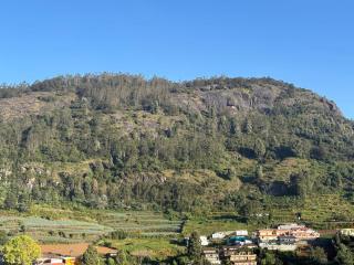 Mountain hills cottage &villa - 2