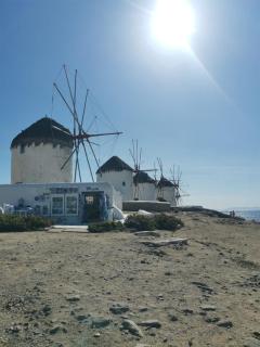 Sea Urchin Studio in Mykonos Heart - 7