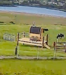 The Dozy Donkey Shepherd Hut & Sauna Farm Stay - 3