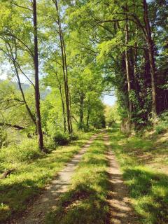 main Burgblick- malerische Lage am Wasser - 9