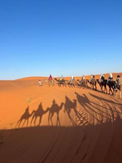 Silk Sahara Camp - 4