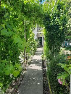 La maison blanche , piscine partagée 5min d'Avignon - 6