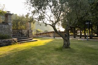 Alyasa Village - 9