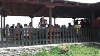 Pangeo forest village - 1