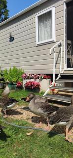 Billing Aquadrome ,2 bedrooms, KM 12 - 9
