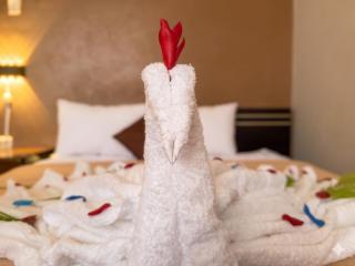 Confort Hotel Pichanaki - 9