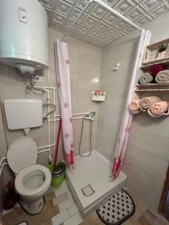 Ordinacija pod šljivom - Pirot - 2