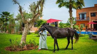 Harve De Paix Marrakech - Resort & Spa - 4