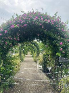 Apple guesthouse - 6