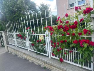 Apple guesthouse - 3