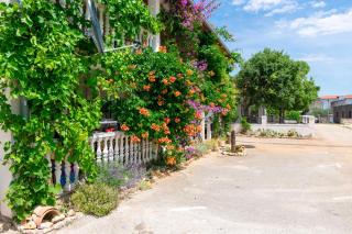 Apartments Andrijana - Seline - 3