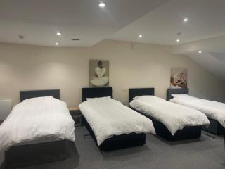The VINE Ensuite Studio Apartment City Centre - 9