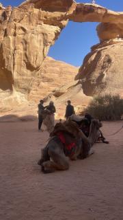 Discover the life of Wadi Rum camp - 8