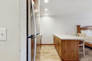 Your next big mountain escape awaits at this Lakeland Village deluxe studio - 3
