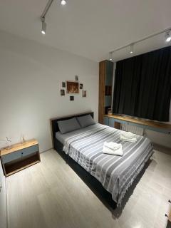 Modern Apartment on Makhtumkuli - 9
