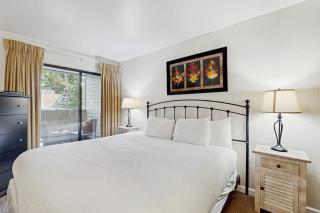 Magical Lake Tahoe living with amazing amenities - 5