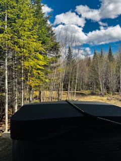 KØZY mini-chalets - Orion - 5