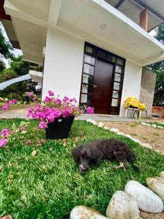 Alojamiento rural Buenavista - 1