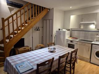 Appartement duplex 8/10 pers à 150m télécabine - FR-1-234-353 - 9