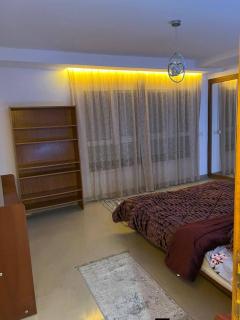 Appartement deux chambres panorama médical cinquante-quatre - 2
