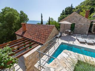 Rustic, Modern Villa with pool - 1