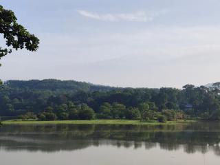 Nature light homestay - 8