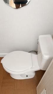 Rice Field Suite - 1