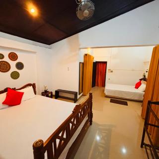 Orchid Resort - 3