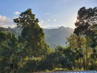 Sunburst view - 7