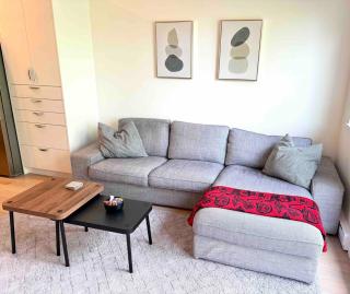 Bright and Convenient Renfrew Collingwood 2 bed 2 bath - 8