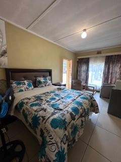 Salvador Stayz - 2