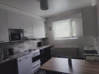 Cozy 1BR Apt in Sotkamo - Peaceful Forest Views - 8