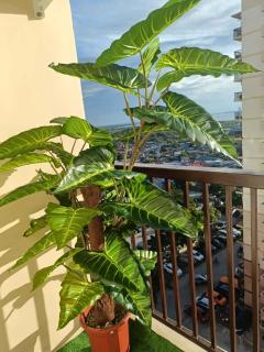 Condo in Lapu Lapu -A Great Place to Stay in Lapu Lapu City Cebu - 4