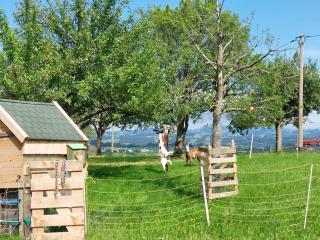 Natur Pur - 5