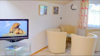 Alpinferienwohnung Neuhuber - Salzkammergut - 5