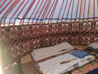 YurtCampKutman - 0