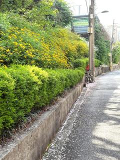 Sinchon, Hongdae in STAY MUI - 5